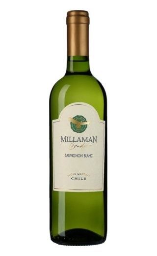 фото вино Millaman Sauvignon Blanc 2013 0,75 л