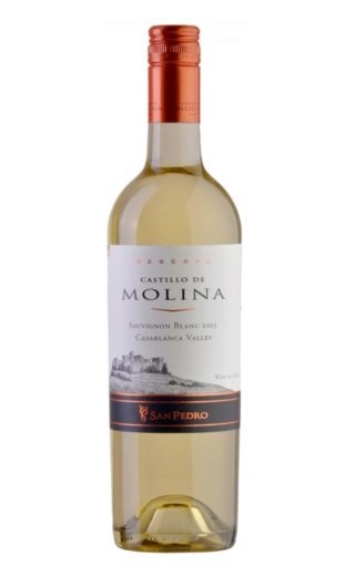 фото вино San Pedro Castillo de Molina Reserva Sauvignon Blanc 2013 0,75 л