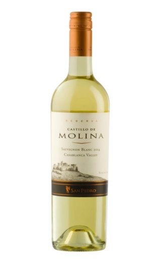 фото вино San Pedro Castillo de Molina Reserva Sauvignon Blanc 2014 0,75 л