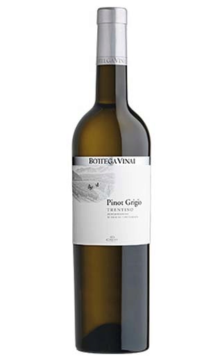 фото вино Cavit Bottega Vinai Pinot Grigio 2017 0,75 л