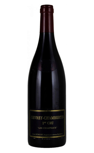 фото вино Alain Burguet Gevrey-Chambertin Premier Cru les Champeaux 2016 0,75 л