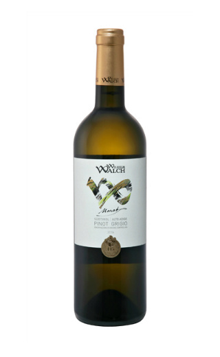 фото вино Wilhelm Walch Marat Pinot Grigio 2017 0,75 л