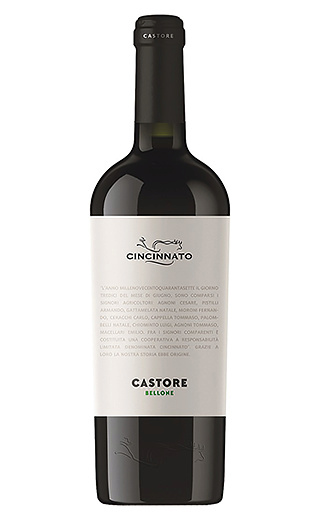 фото вино Cincinnato Castore Bellone 0,75 л