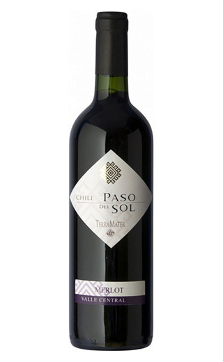 фото вино Terramater Paso Del Sol Merlot 2013 0,75 л