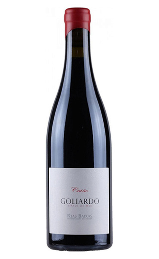 фото вино Forjas del Salnes Goliardo Caino 2013 0,75 л