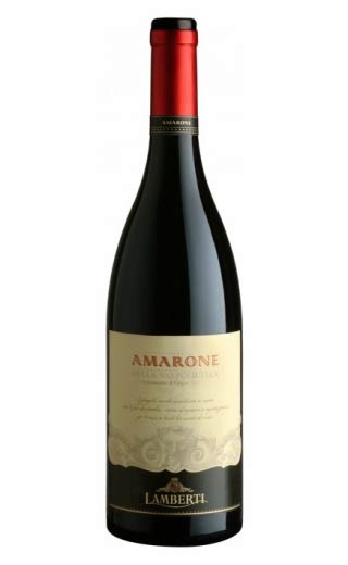 фото вино Lamberti Amarone della Valpolicella 0,75 л