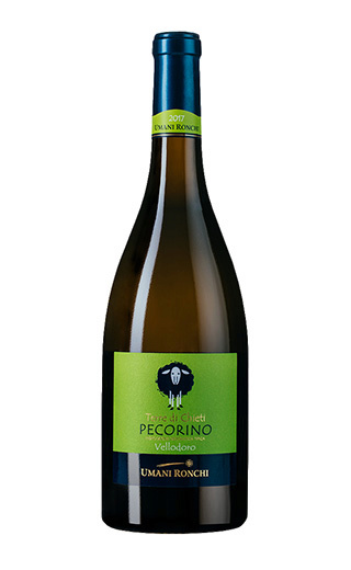 фото вино Umani Ronchi Vellodoro Pecorino Terre di Chieti 2018 0,75 л