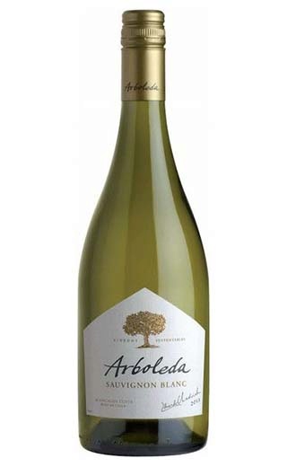 фото вино Vina Arboleda Sauvignon Blanc 2017 0,75 л