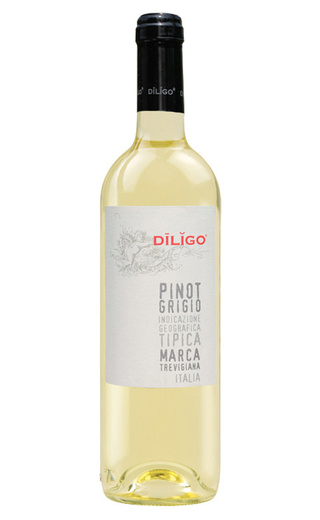 фото вино Anna Spinato Diligo Pinot Grigio 2018 0,75 л