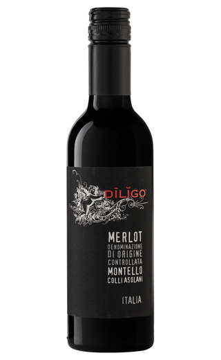 фото вино Anna Spinato Diligo Merlot 2012 0,375 л