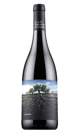 Вино Vintae La Garnacha Salvaje Del Moncayo 2021 0,75 л