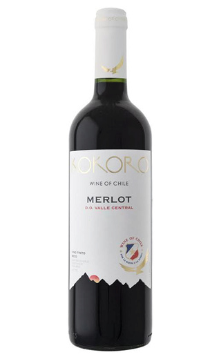 фото вино Kokoro Merlot 0,75 л