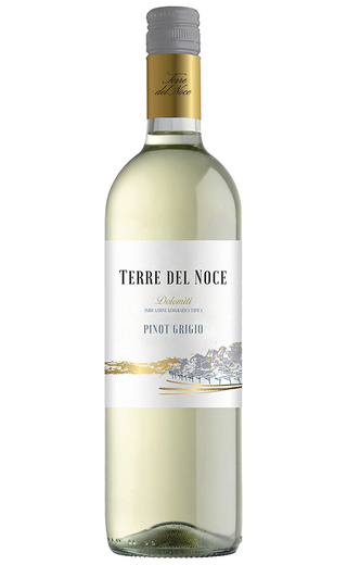 фото вино Mezzacorona Terre del Noce Dolomiti Pinot Grigio 2018 1,5 л