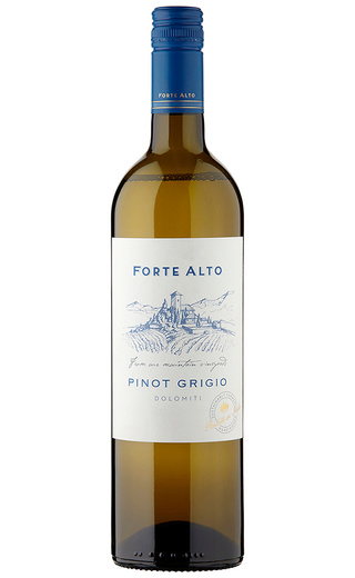 фото вино Mezzacorona Forte Alto Dolomiti Pinot Grigio 2017 0,75 л