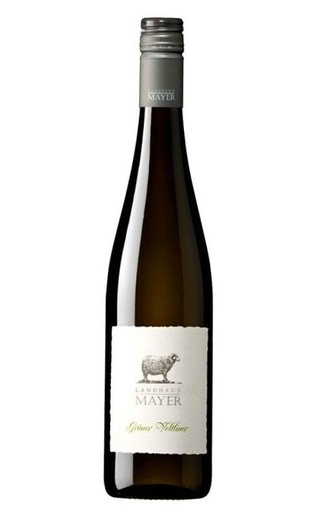 фото вино Landhaus Mayer Gruner Veltliner 0,75 л