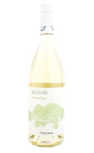 фото вино Petra Belvento Vermentino Toscana IGT 2017 0,75 л