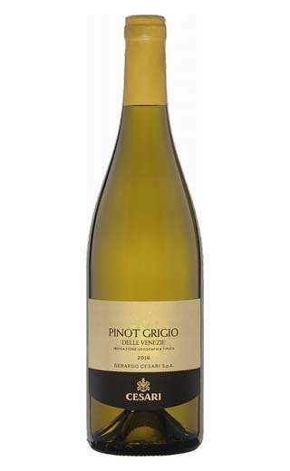 фото вино Gerardo Cesari Pinot Grigio delle Venezie 2018 0,75 л