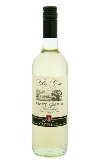 фото вино Castellani Villa Lucia Pinot Grigio Venezia 2018 0,75 л