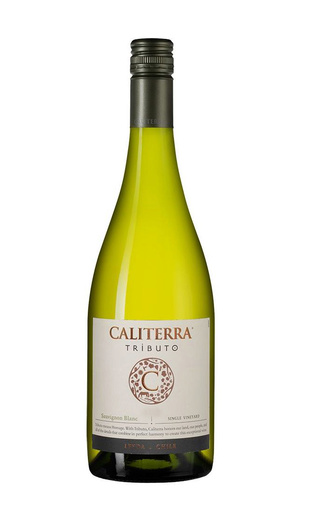 фото вино Vina Caliterra Sauvignon Blanc Tributo 2018 0,75 л