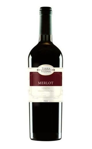 фото вино Casere Terra Vizina Merlot Veneto 2019 0,75 л