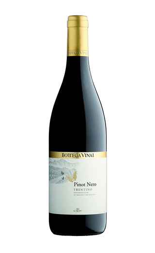 фото вино Cavit Bottega Vinai Pinot Nero 2017 0,75 л