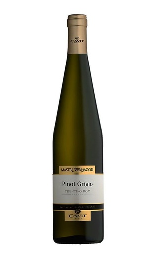 фото вино Cavit Mastri Vernacoli Pinot Grigio 2019 0,75 л