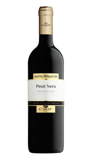 фото вино Cavit Mastri Vernacoli Pinot Nero 2018 0,75 л