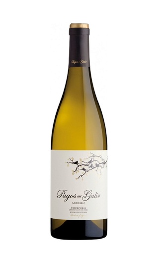 фото вино Pagos del Galir Godello 2018 0,75 л