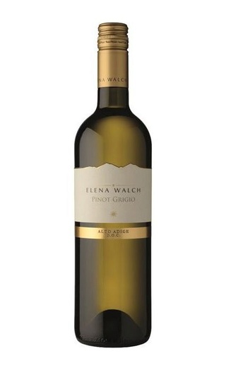 фото вино Elena Walch Pinot Grigio Alto Adige 2019 0,75 л