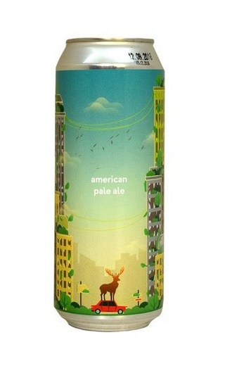 фото пиво Stamm Beer American Pale Ale 0,5 л