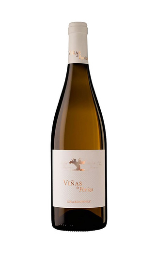 фото вино Vinas de Paniza Chardonnay 0,75 л