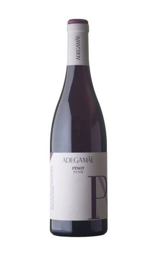 фото вино Adegamae Pinot Noir 2017 0,75 л