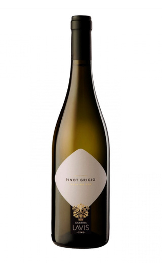 фото вино Cantina Lavis Pinot Grigio Bio 2016 0,75 л