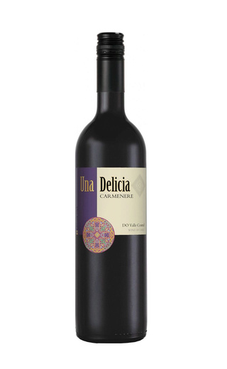 фото вино Vinedos Puertas Una Delicia Carmenere 2019 0,75 л