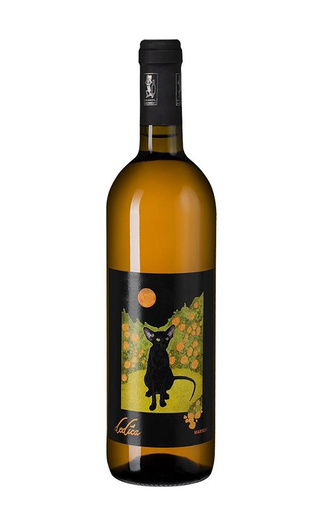 фото органическое вино Martilde Dedica Malvasia 2019 0,75 л