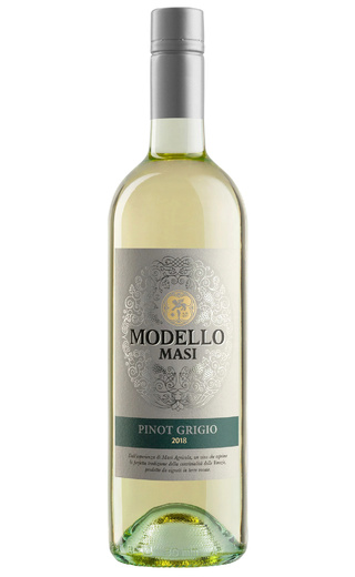 фото вино Masi Agricola Modello Pinot Grigio delle Venezie 2019 0,75 л