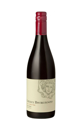 фото вино Louis Jadot Coteaux Bourguignons Rouge 2016 0,75 л