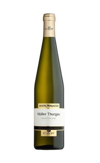 фото вино Cavit Mastri Vernacoli Muller Thurgau 2019 0,75 л