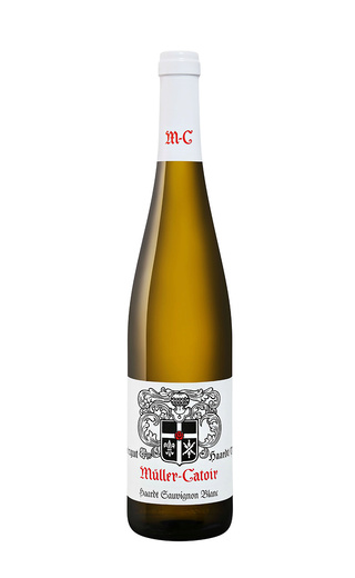 фото органическое вино Muller-Catoir Haardt Sauvignon Blanc Weingut 2017 0,75 л