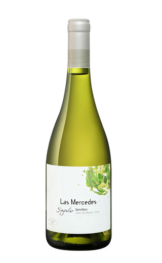 фото вино J.Bouchon Las Mercedes Singular Semillon Maule Valley 2019 0,75 л