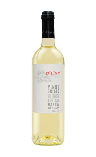 фото вино Anna Spinato Diligo Pinot Grigio 2018 0,375 л