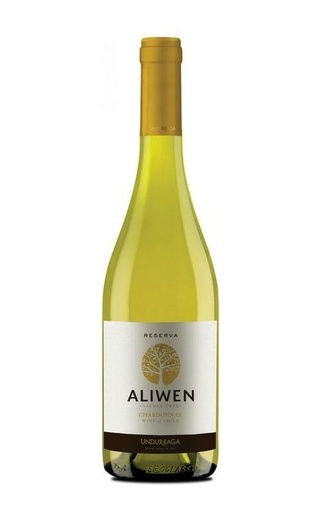 фото вино Undurraga Aliwen Reserva Chardonnay 2019 0,75 л