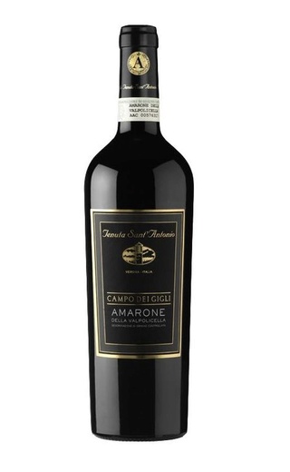 фото вино Tenuta Sant'Antonio Amarone della Valpolicella Campo dei Gigli 2015 0,75 л