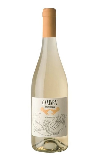 фото вино Tenuta Mazzolino Camara Chardonnay 2019 0,75 л