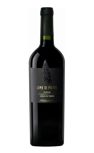 фото вино Cantina Diomede Puglia Lama di Pietra Nero di Troia 2019 0,75 л