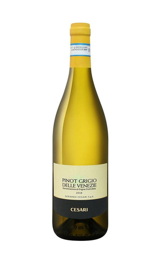 фото вино Gerardo Cesari Pinot Grigio delle Venezie 2019 0,75 л