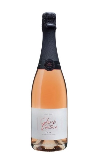 фото игристое вино Josep Ventosa Cava Rose 0,75 л