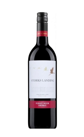 фото вино Storks Landing Pinot Noir Shiraz 2019 0,75 л