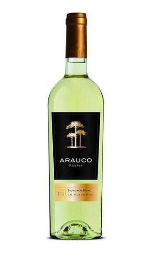 фото вино Arauco Sauvignon Blanc 0,75 л