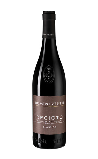 фото вино Domini Veneti Recioto della Valpolicella Classico DOCG 2016 0,75 л